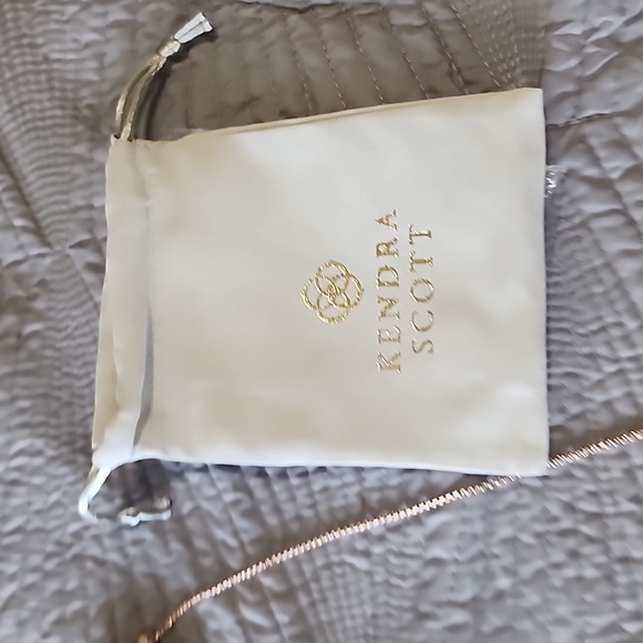 Scottie Choker Necklace in Rose Gold - Picture 5 of 6